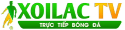 các quận ở tphcm